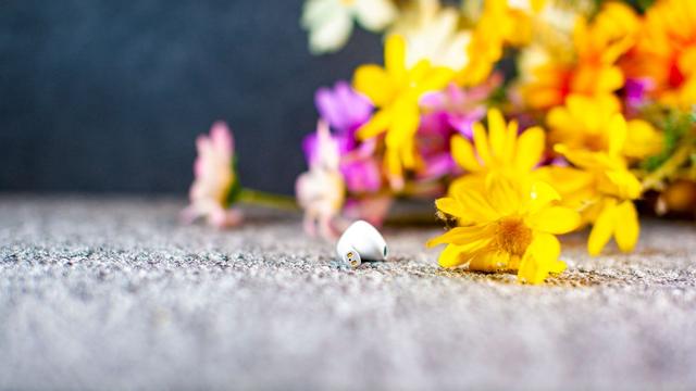 UGREEN��˹��-��רҵ�����ĵ�����Ʒ��